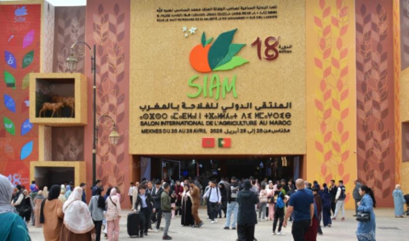 SIAM